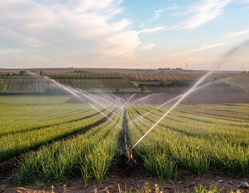 Un expert à l'écoute de vos besoins en arrosage et en irrigation près de Béziers