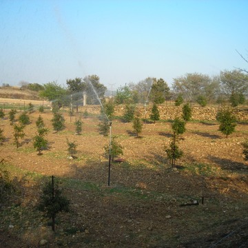 Irrigation par aspersion